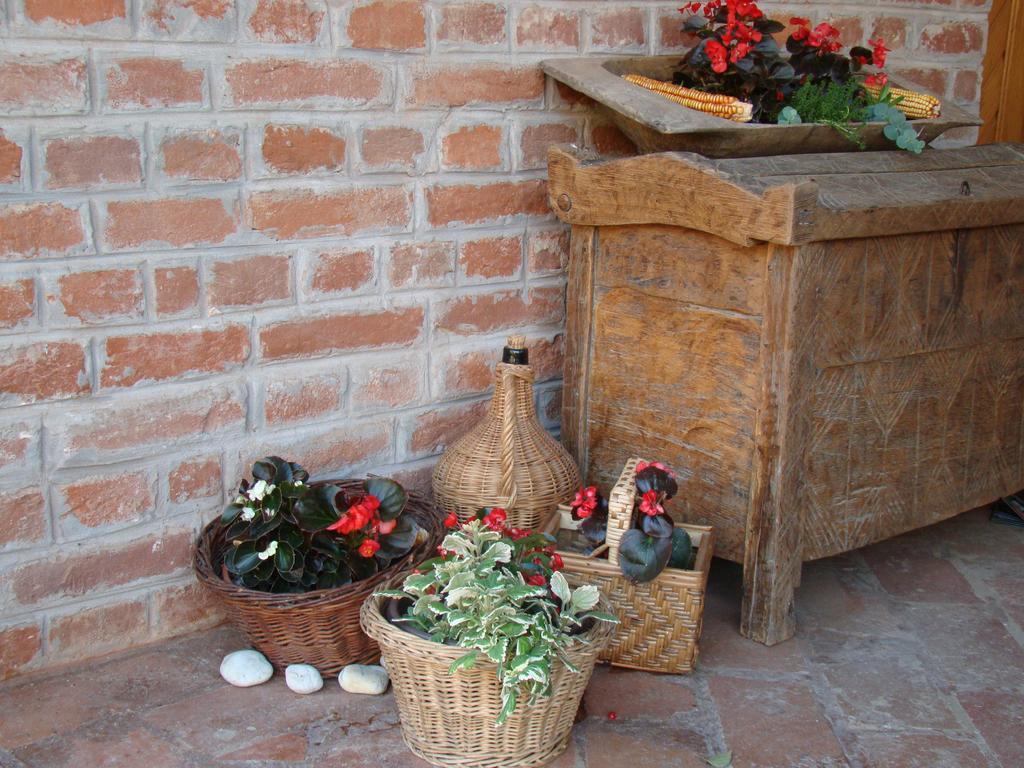 Country House Tunjina Kuca Stara Kapela Casa de hóspedes Pavlovci Exterior foto